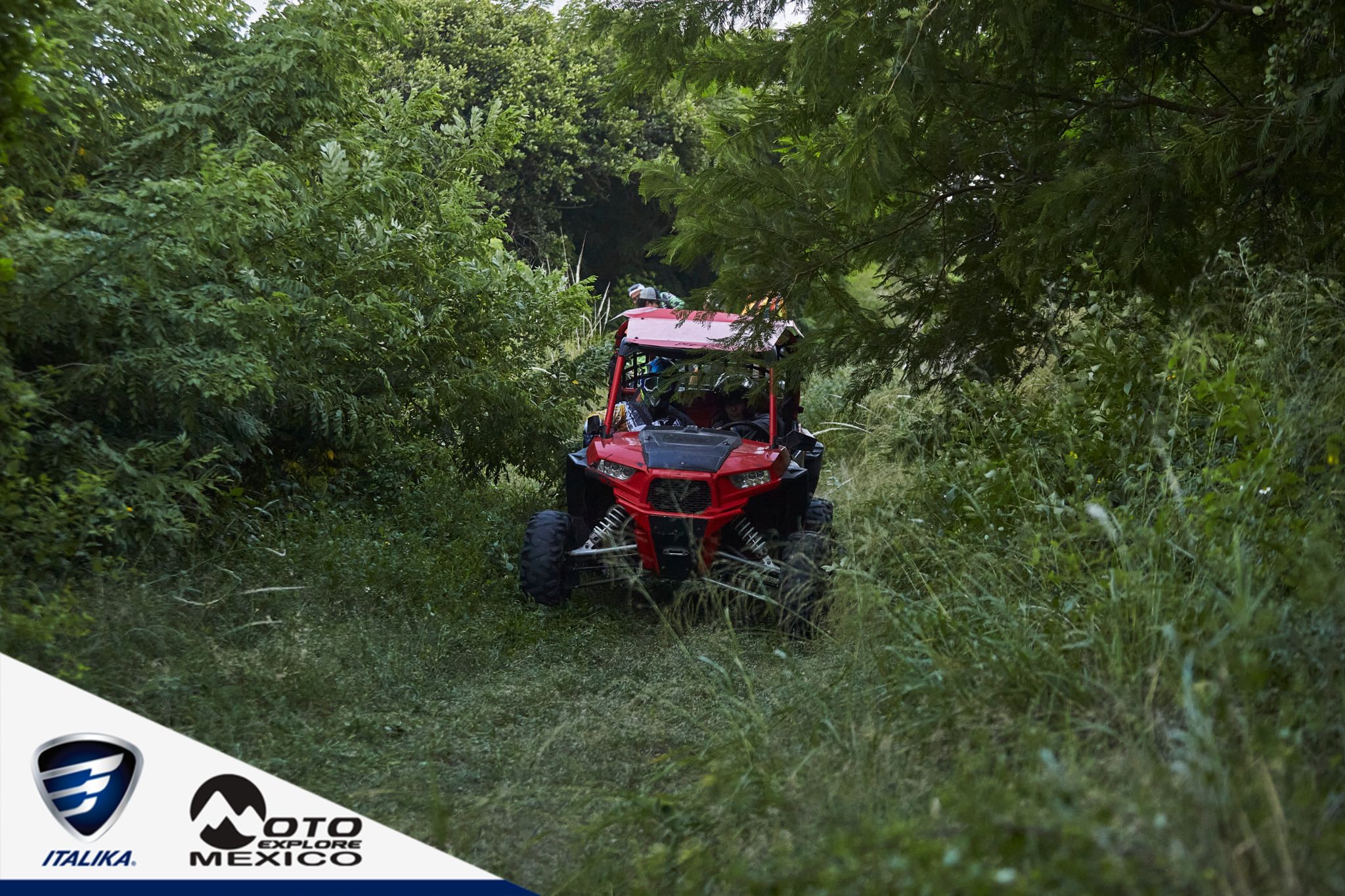 ITALIKA CHACHALACAS D1 400